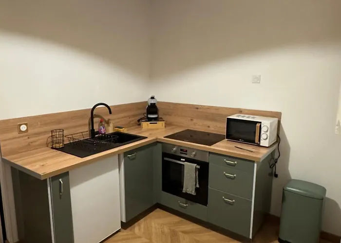 T1 Bis Au Centre Historique Апартаменты Дижон