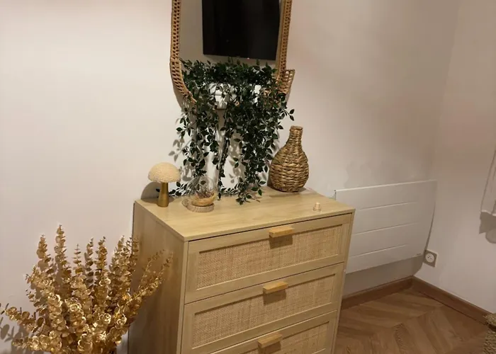 T1 Bis Au Centre Historique Апартаменты Дижон